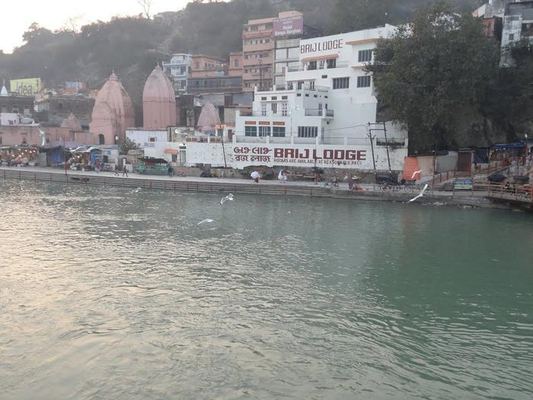 Brij Lodge